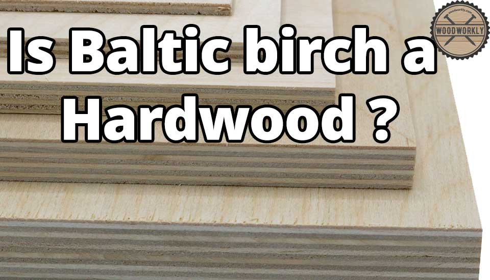 Is Baltic birch a Hardwood?