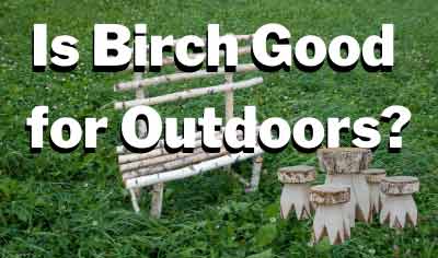Is Birch Good for Outdoors