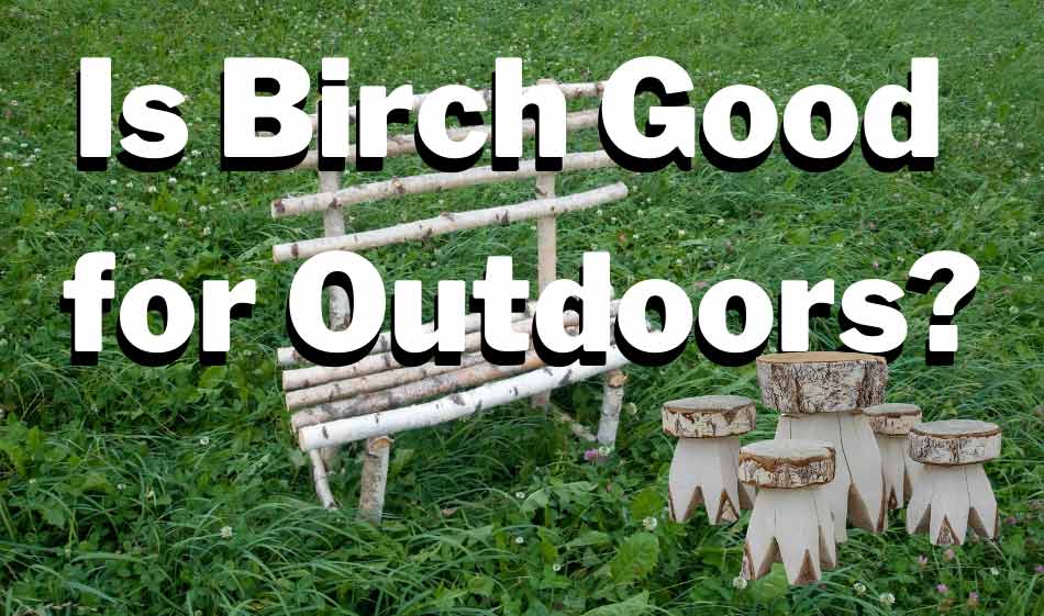 Is Birch Good for Outdoors
