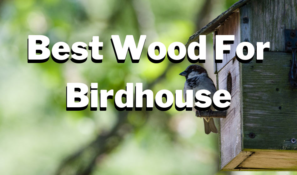 best wood for Birdhouse