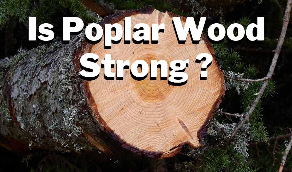 Is Poplar Wood Strong