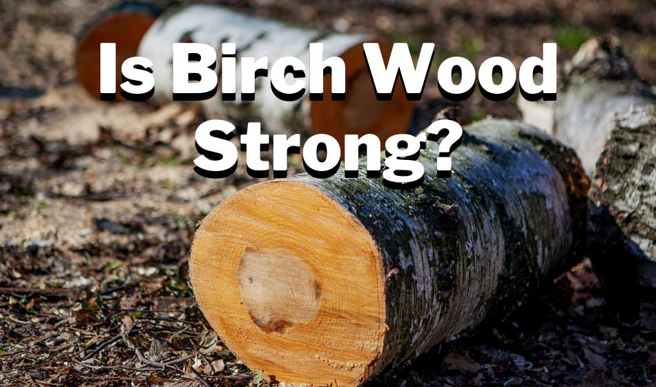 Is Birch wood strong