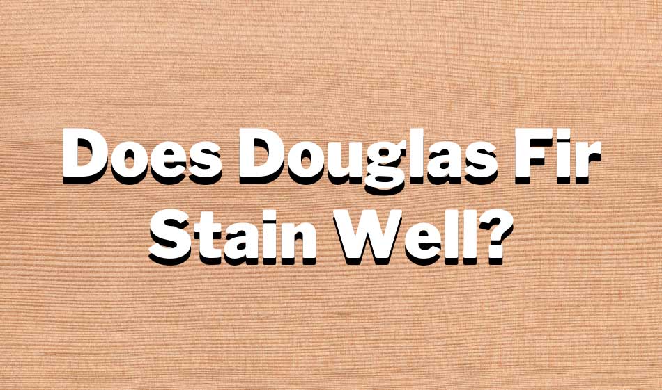 Does Douglas Fir Stain Well
