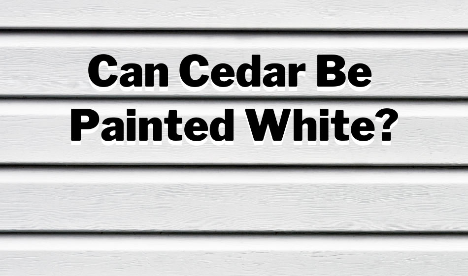 can cedar be painted white