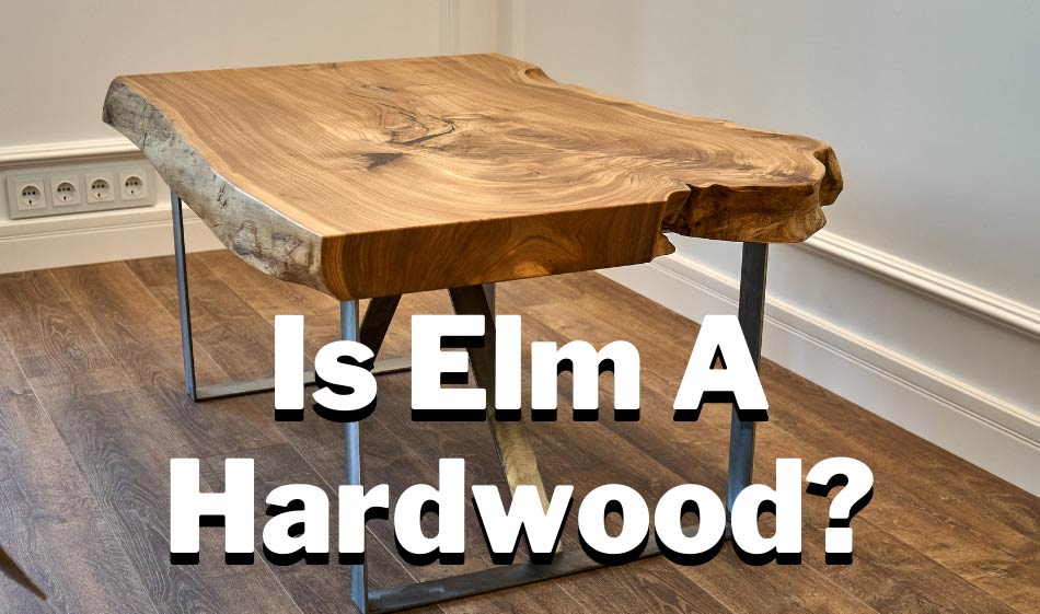is elm a hardwood