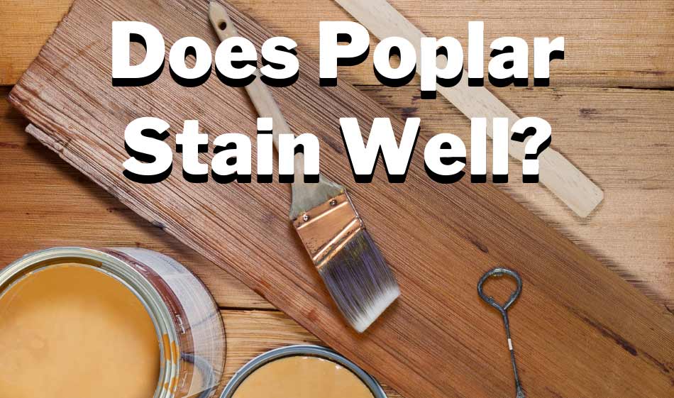 does poplar stain well