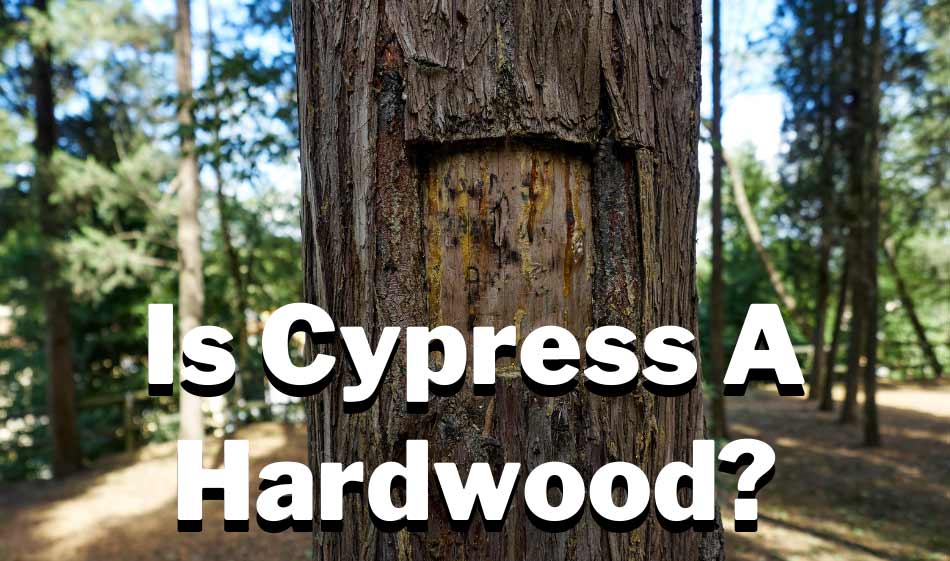 is cypress a hardwood