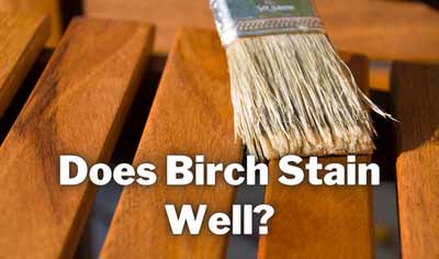 does birch stain well