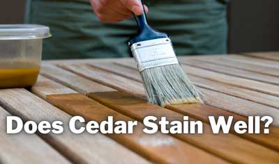 does cedar stain well