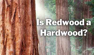 is redwood a hardwood