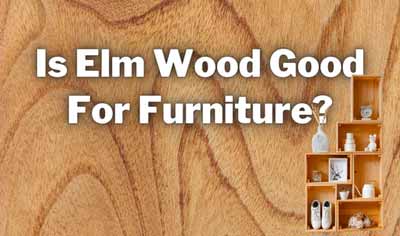 is elm wood good for furniture