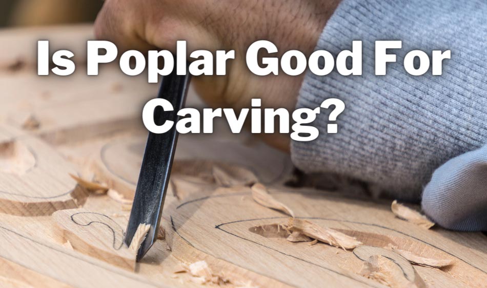 is poplar good for carving