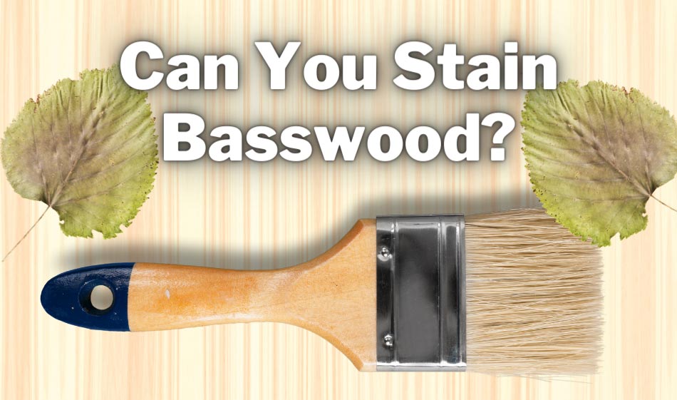 can you stain basswood