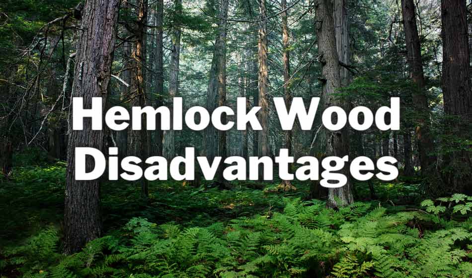 hemlock wood disadvantages