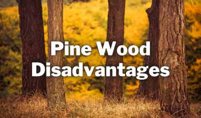 pine wood disadvantages