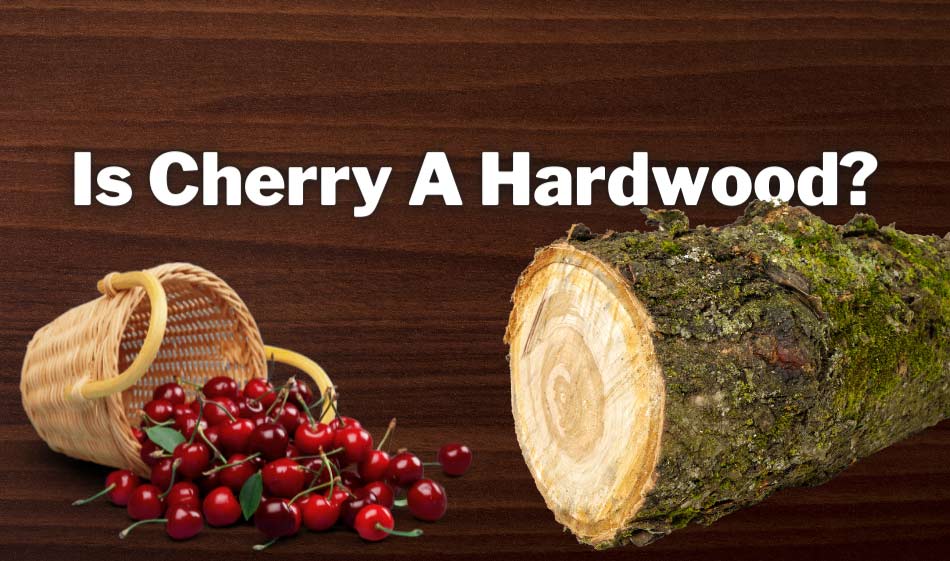 is cherry a hardwood