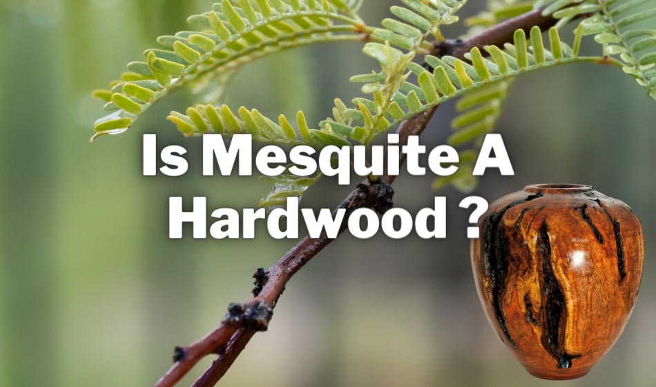 Is Mesquite a hardwood