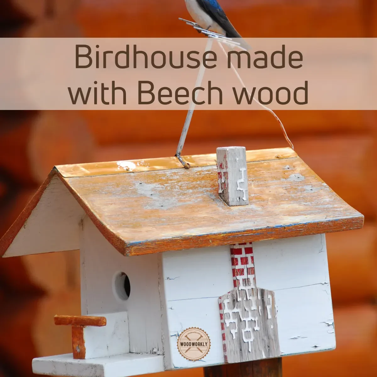 Birdhouse made with Beech wood