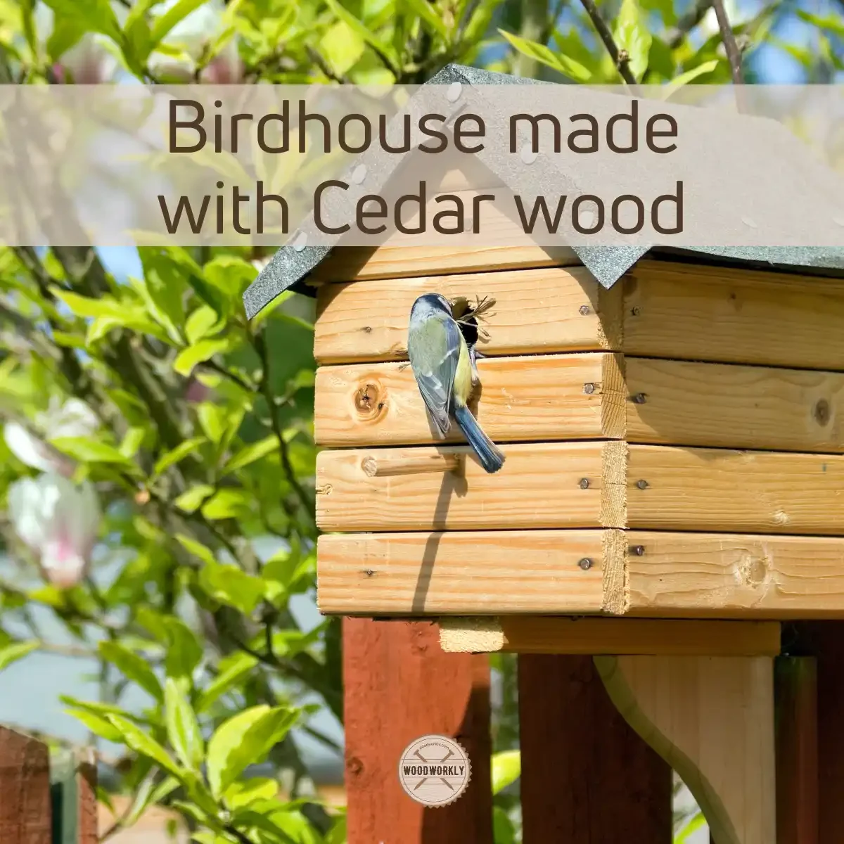 Birdhouse made with Cedar wood