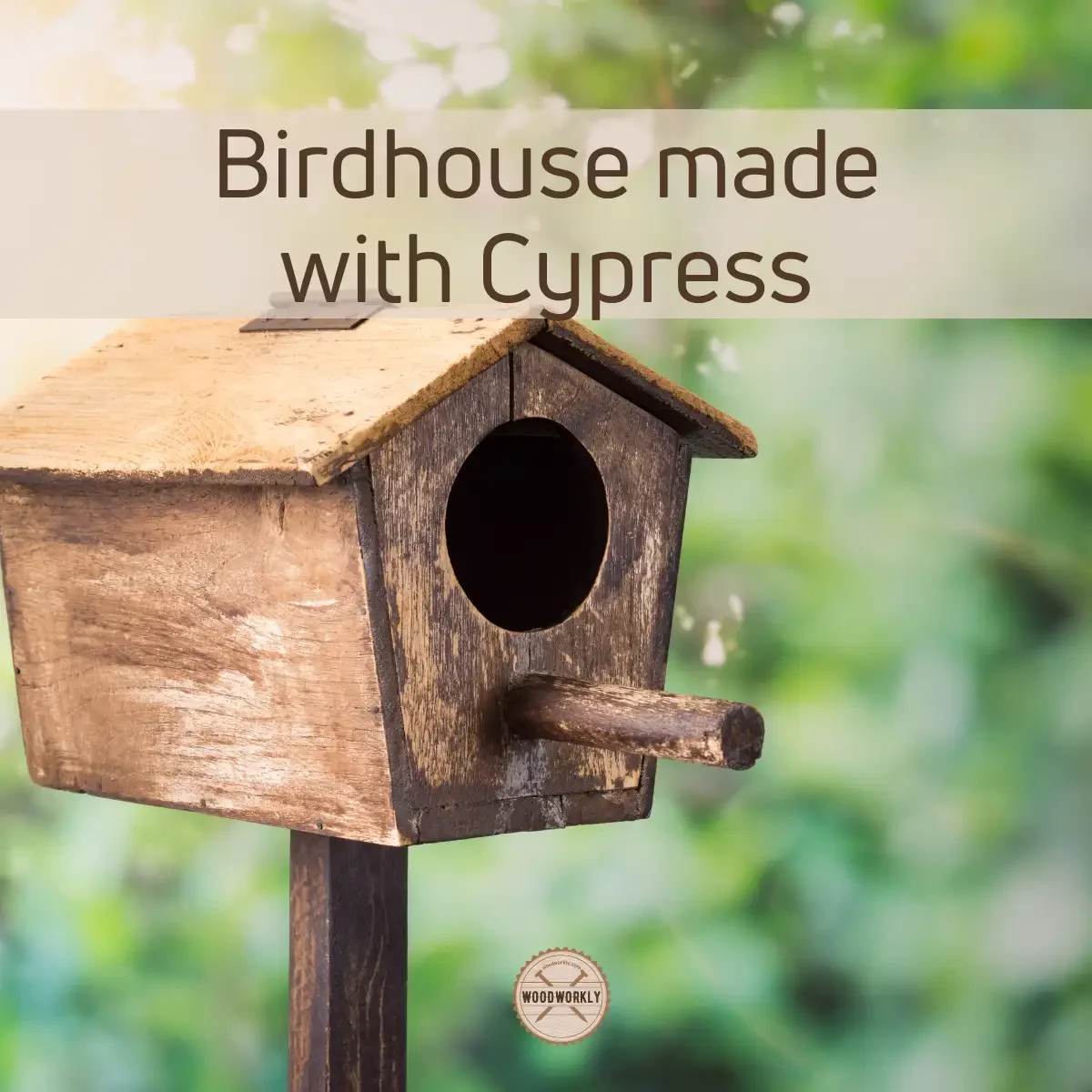Birdhouse made with Cypress