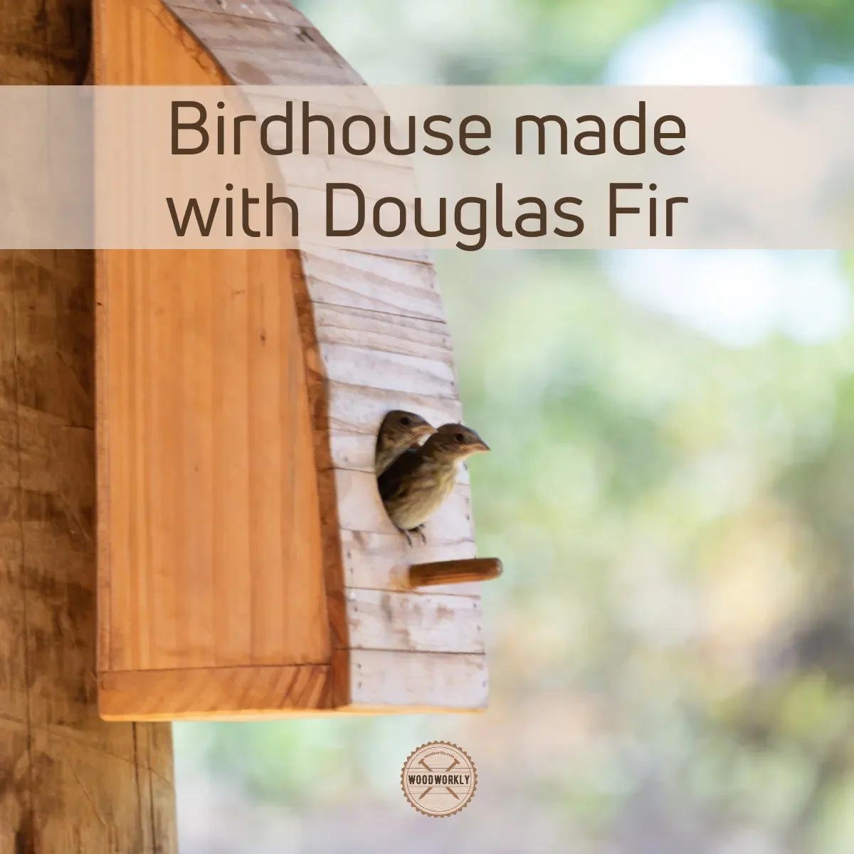 Birdhouse made with Douglas Fir