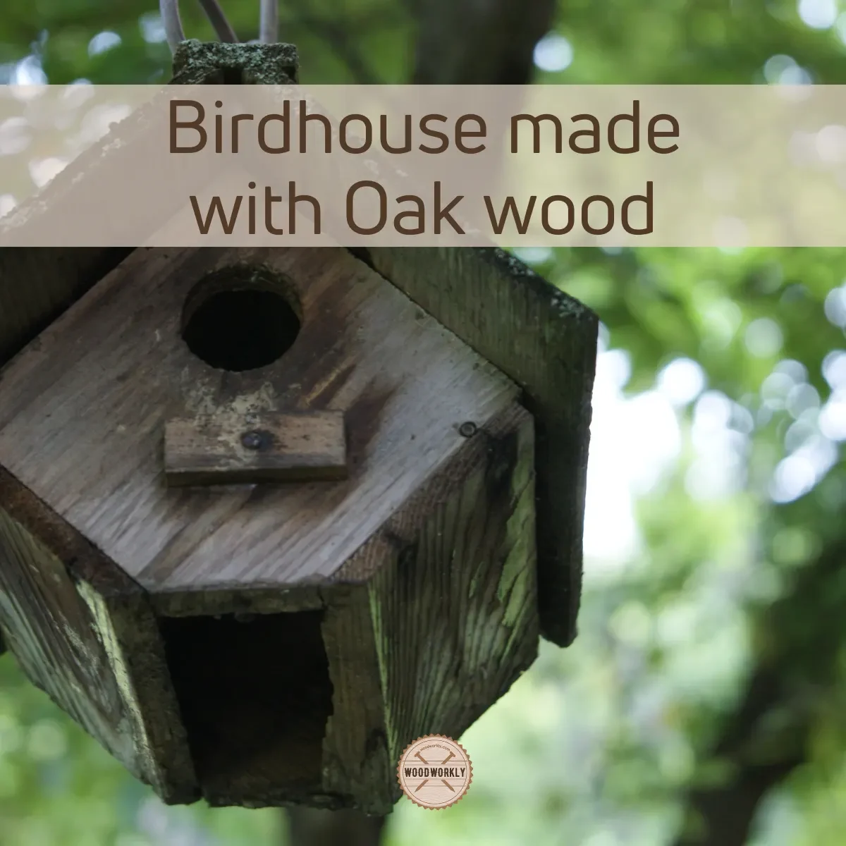Birdhouse made with Oak wood