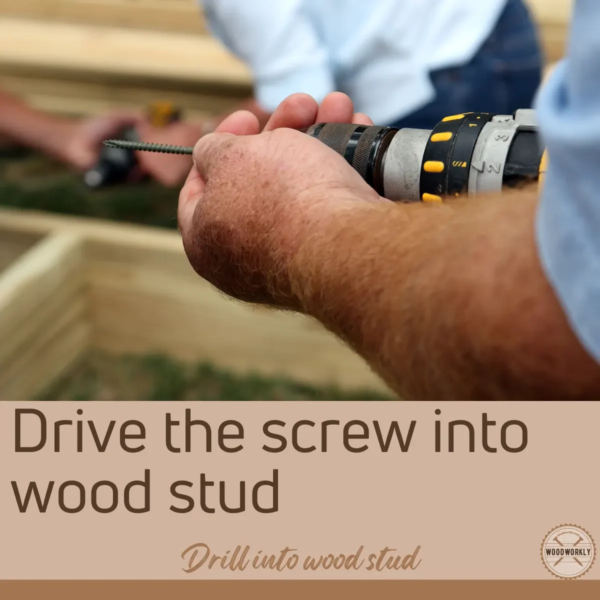 Drive the screw into wood stud