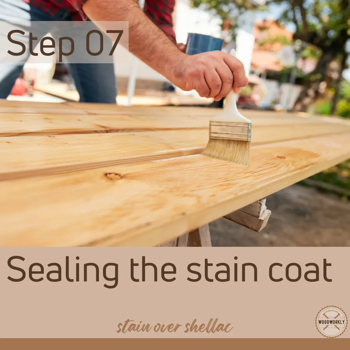 Sealing the wood after applying stain over shellac