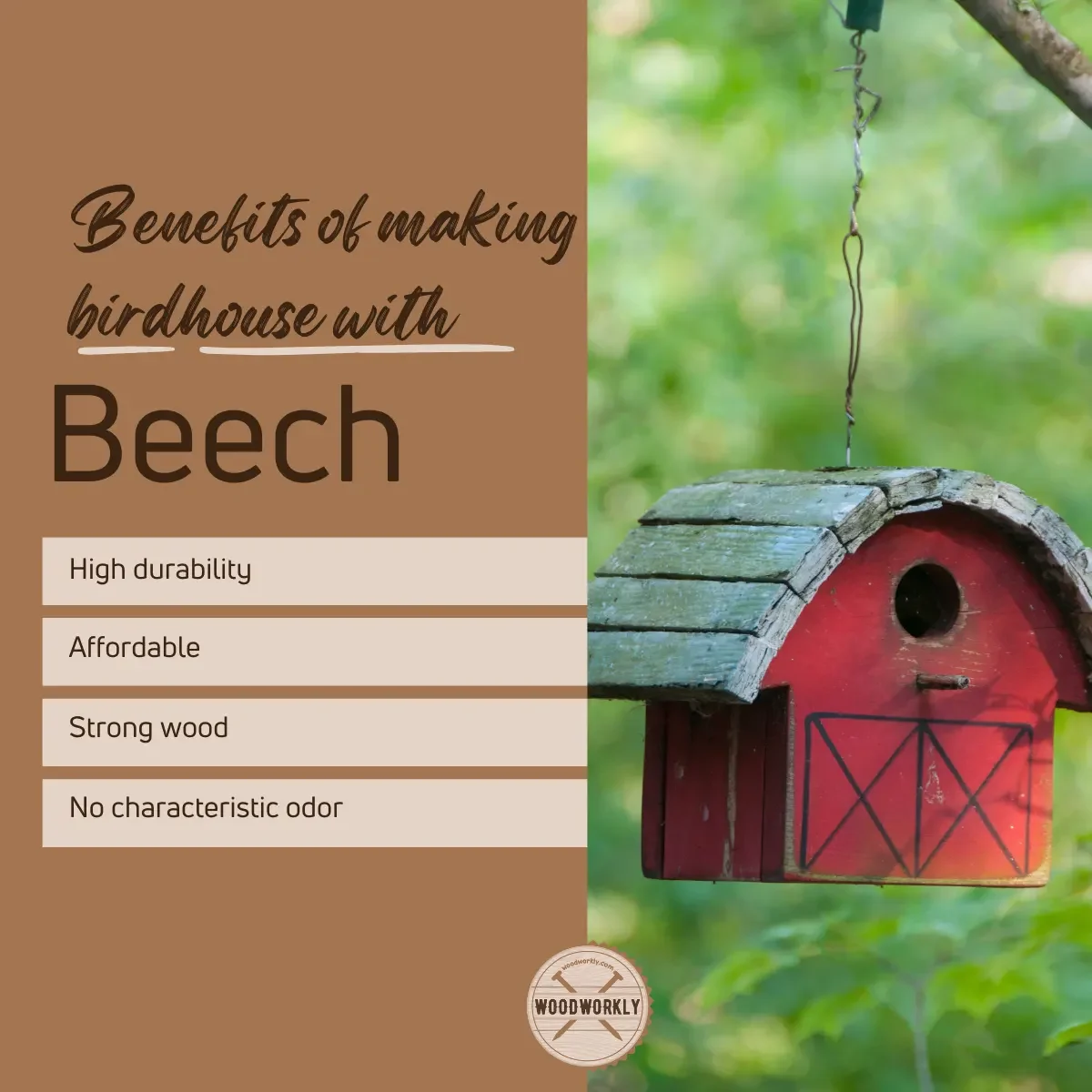 benefits of making birdhouse with beech