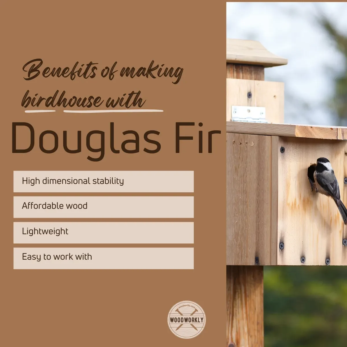 benefits of making birdhouse with douglas fir