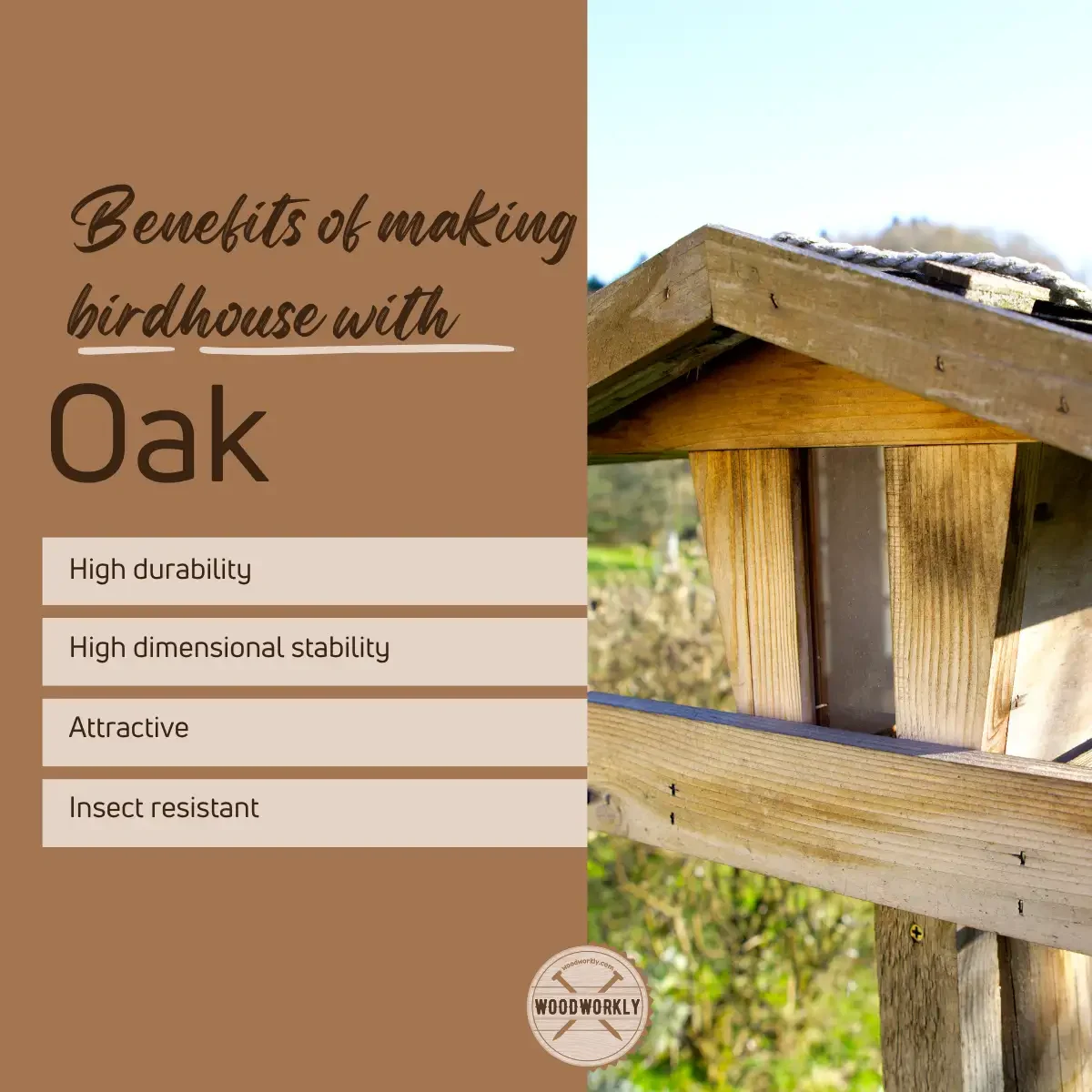 benefits of making birdhouse with oak