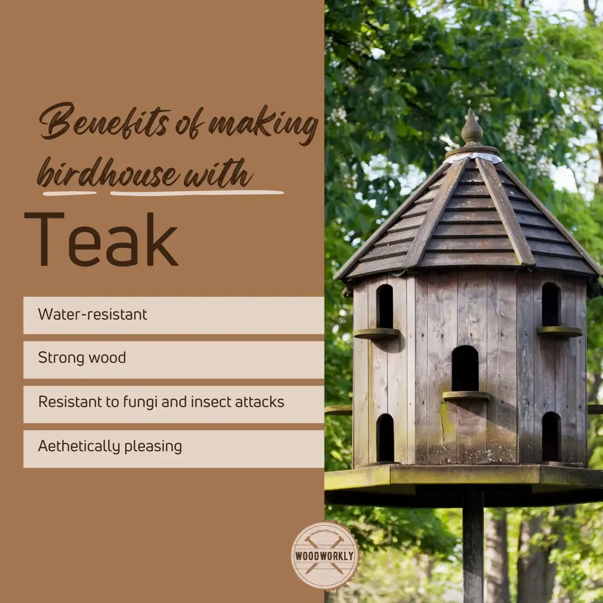 benefits of making birdhouse with teak