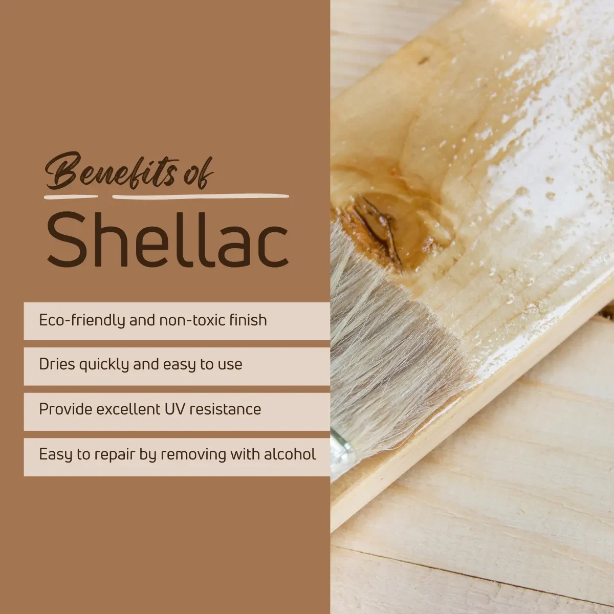 benefits of using shellac on wood