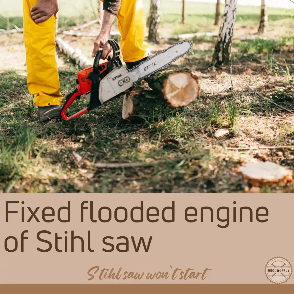 Fixed flooded engine of Stihl saw