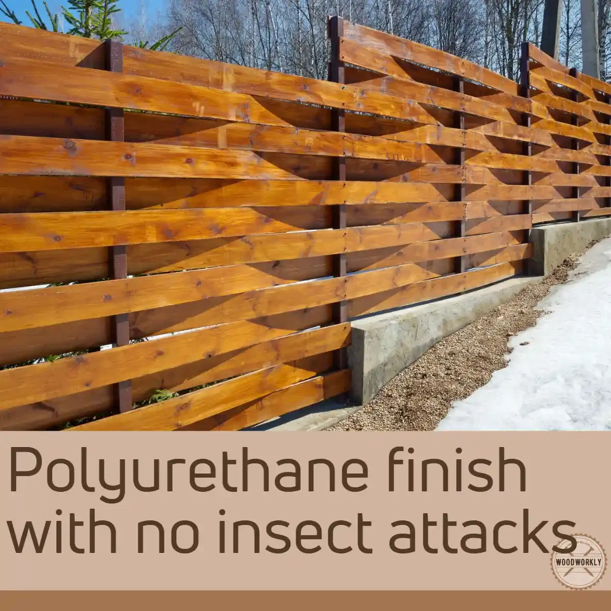Polyurethane finish with no insect attacks