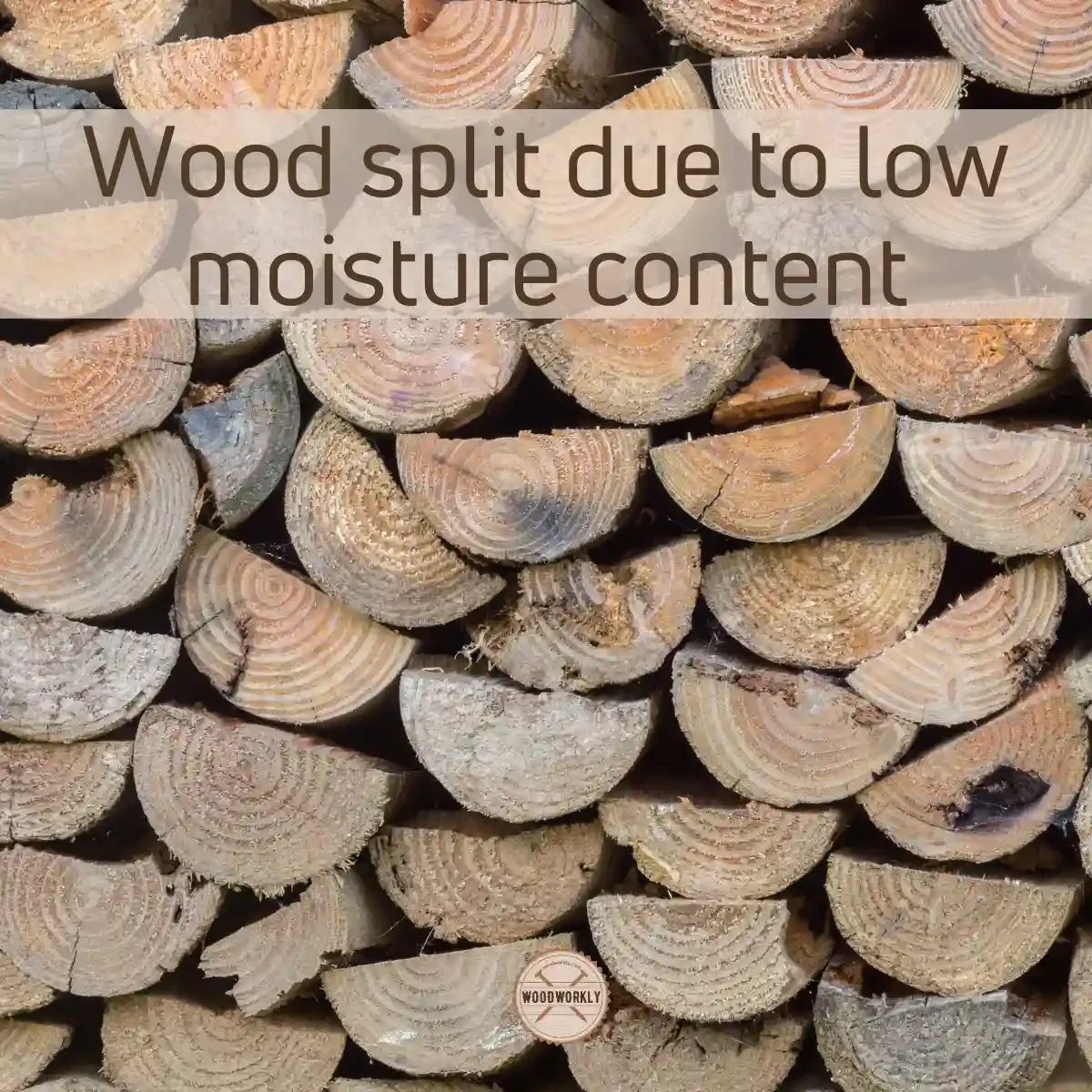 Wood split due to low moisture content