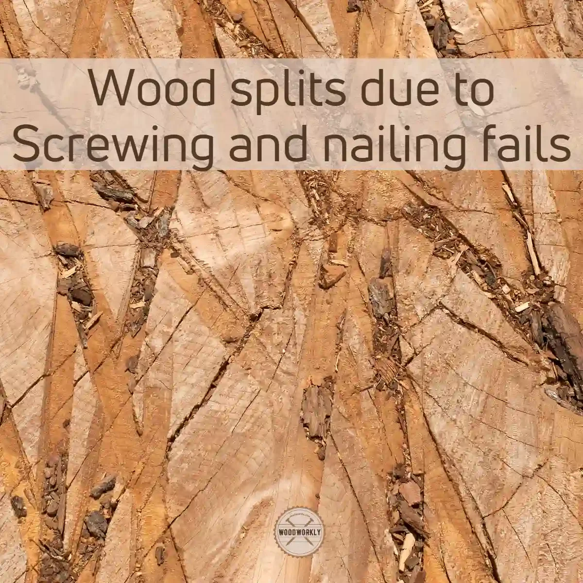 Wood splits due to Screwing and nailing fails