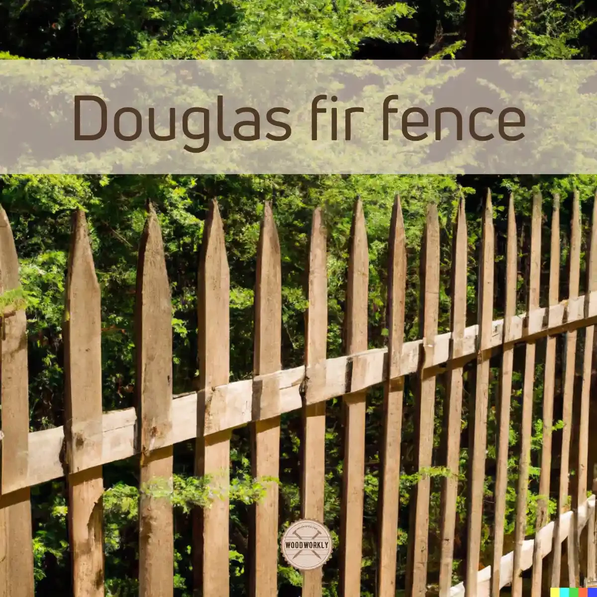 Douglas fir fence