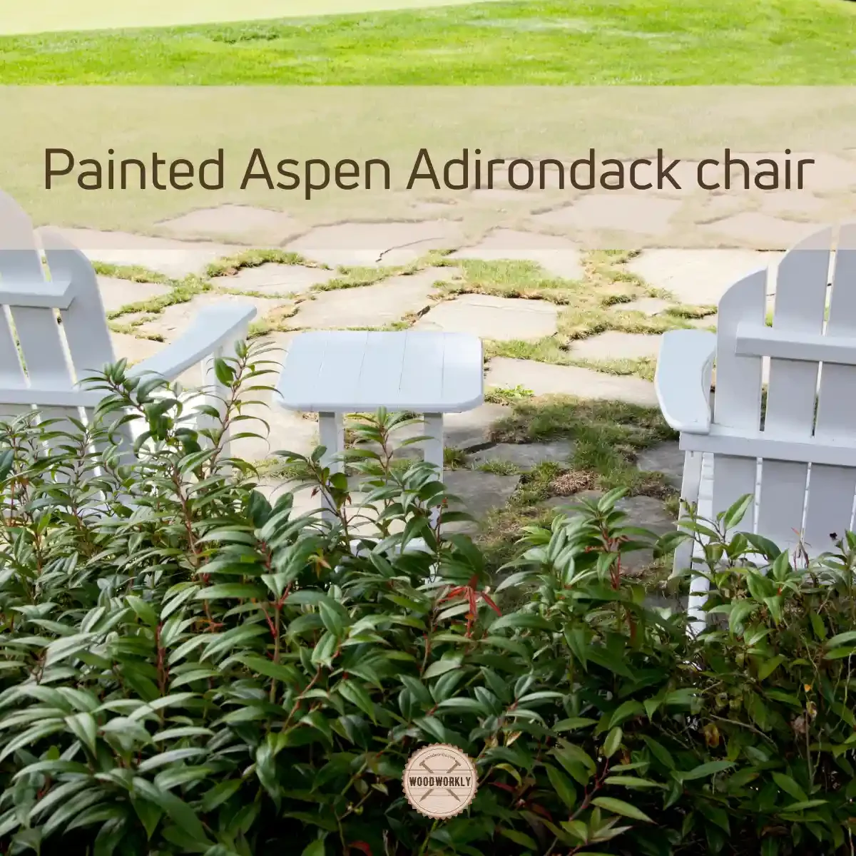 Painted Aspen Adirondack chair