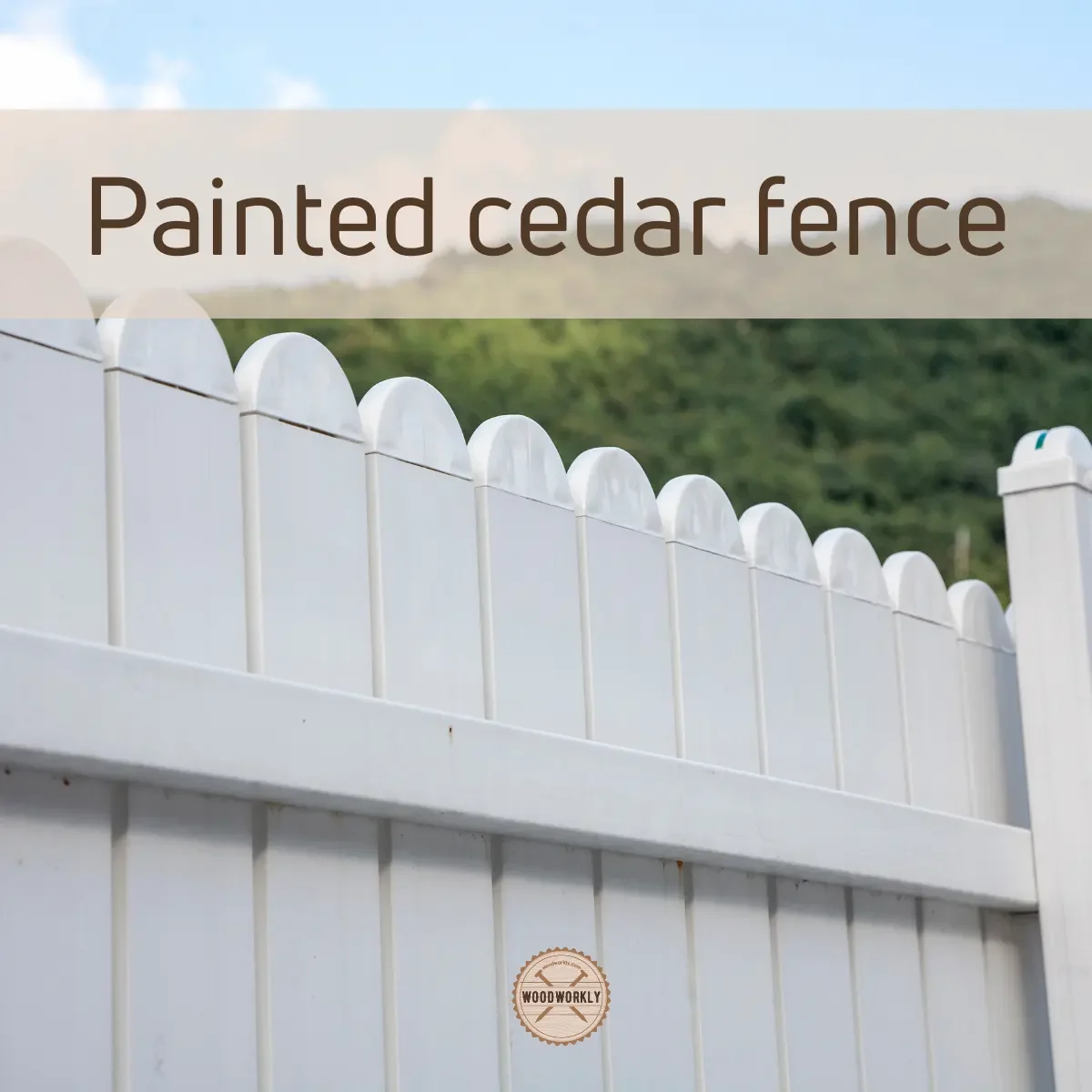 Painted cedar fence
