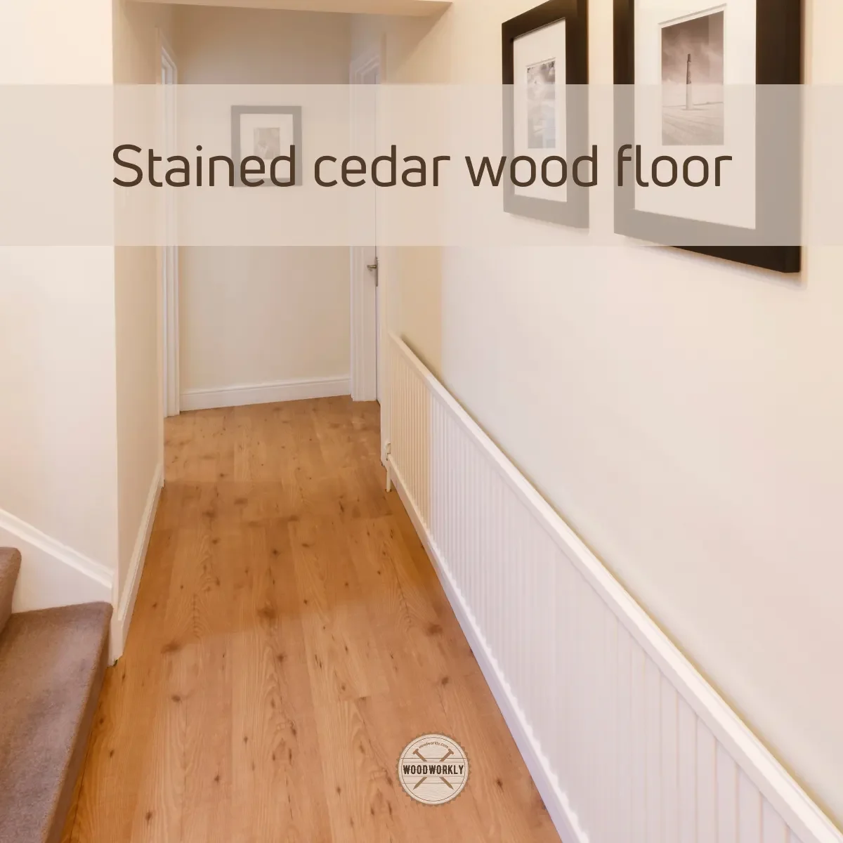 Stained cedar wood flooring