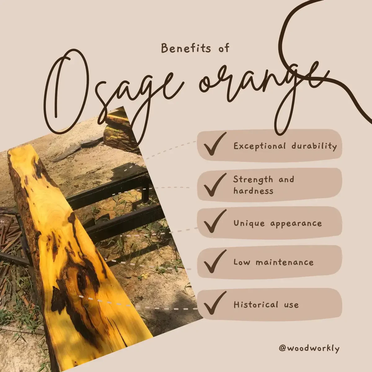 benefits of Osage orange wood for fencing