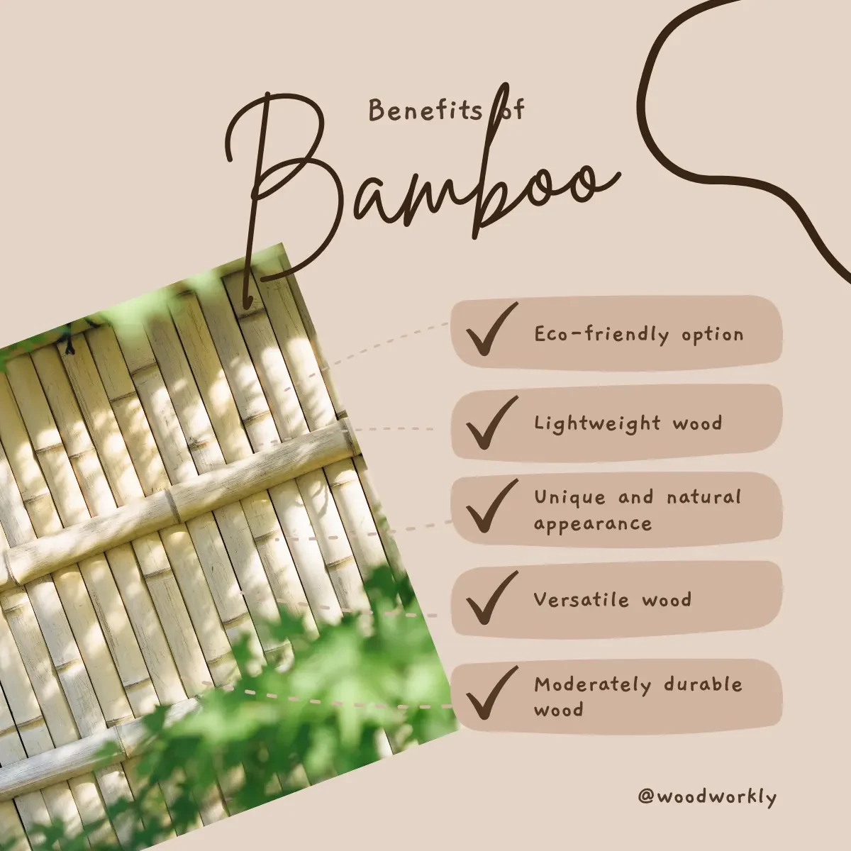 benefits of black bamboo wood for fencing