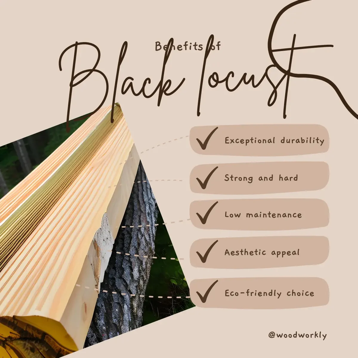benefits of black locust wood for fencing