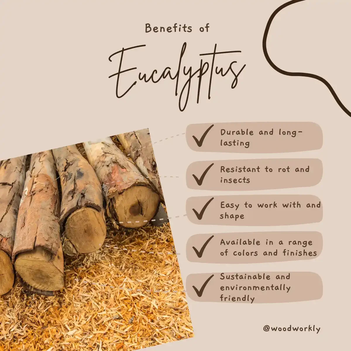 benefits of eucalyptus wood for adirondack chairs
