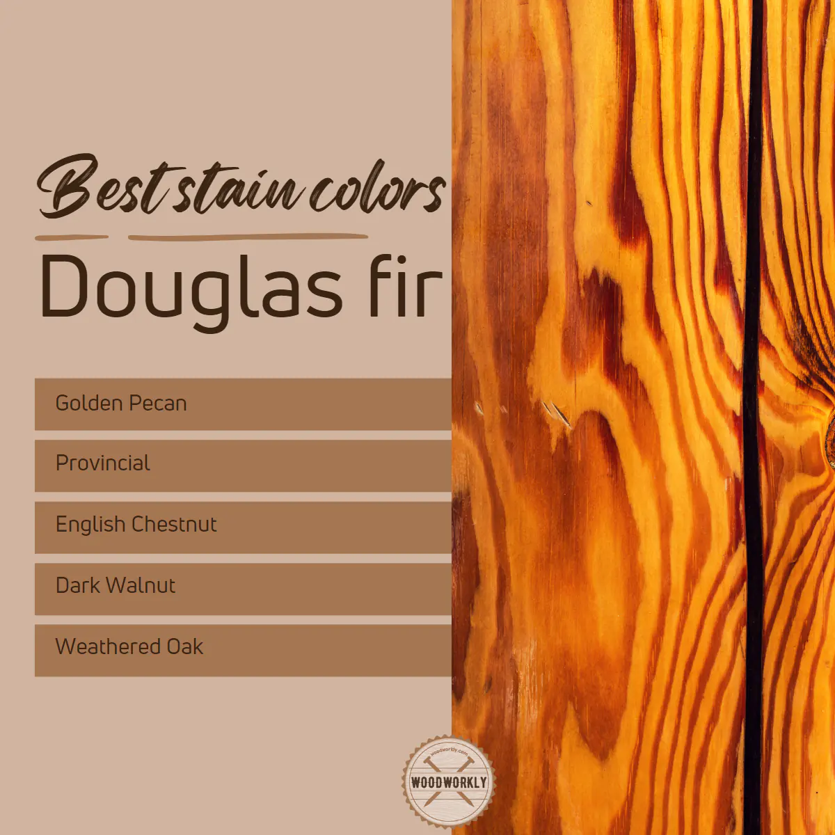 Best stain colors for douglas fir