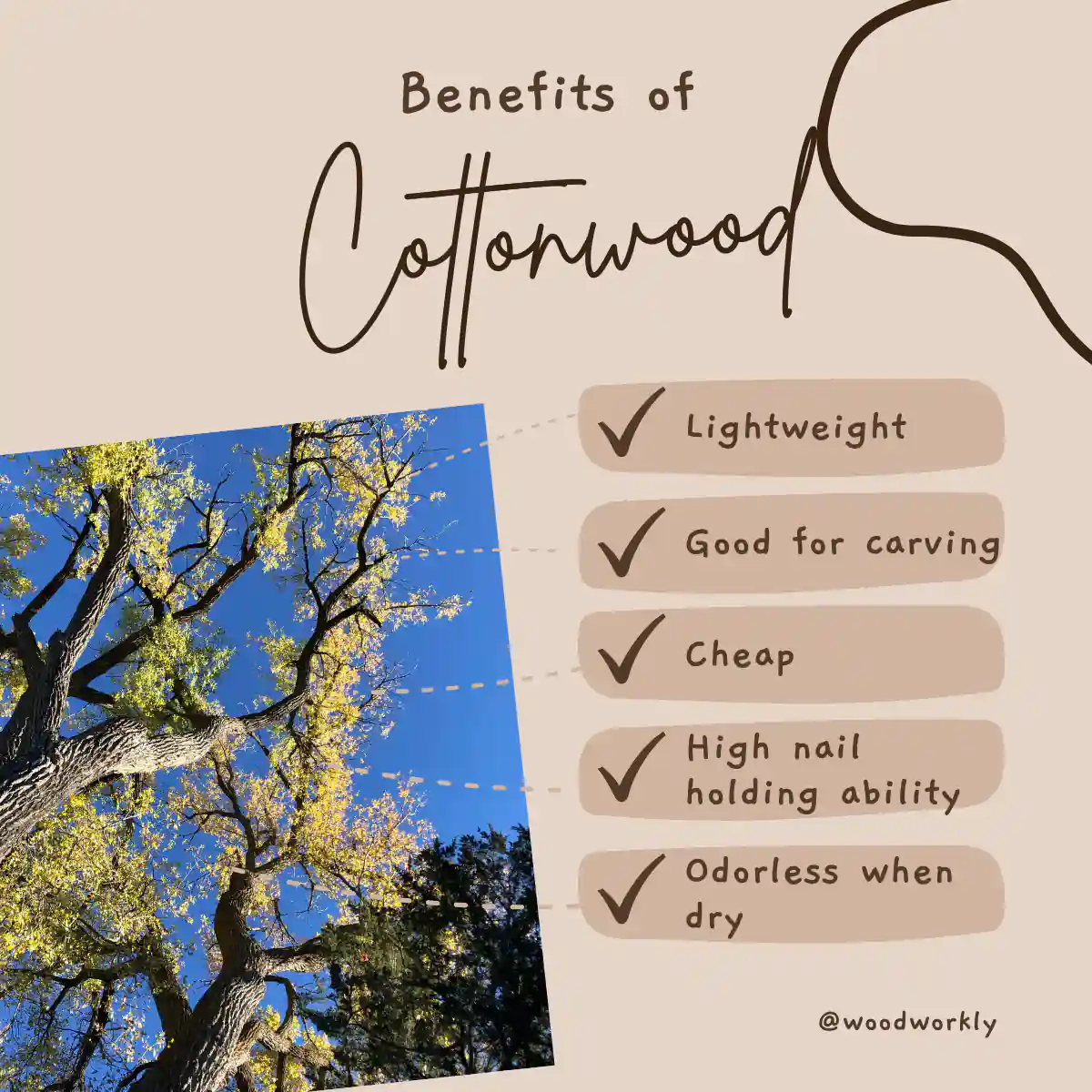 Benefits of cottonwood