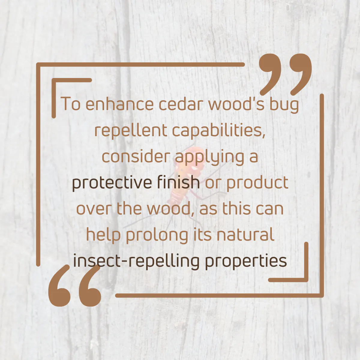 Cedar Bug repellent ability