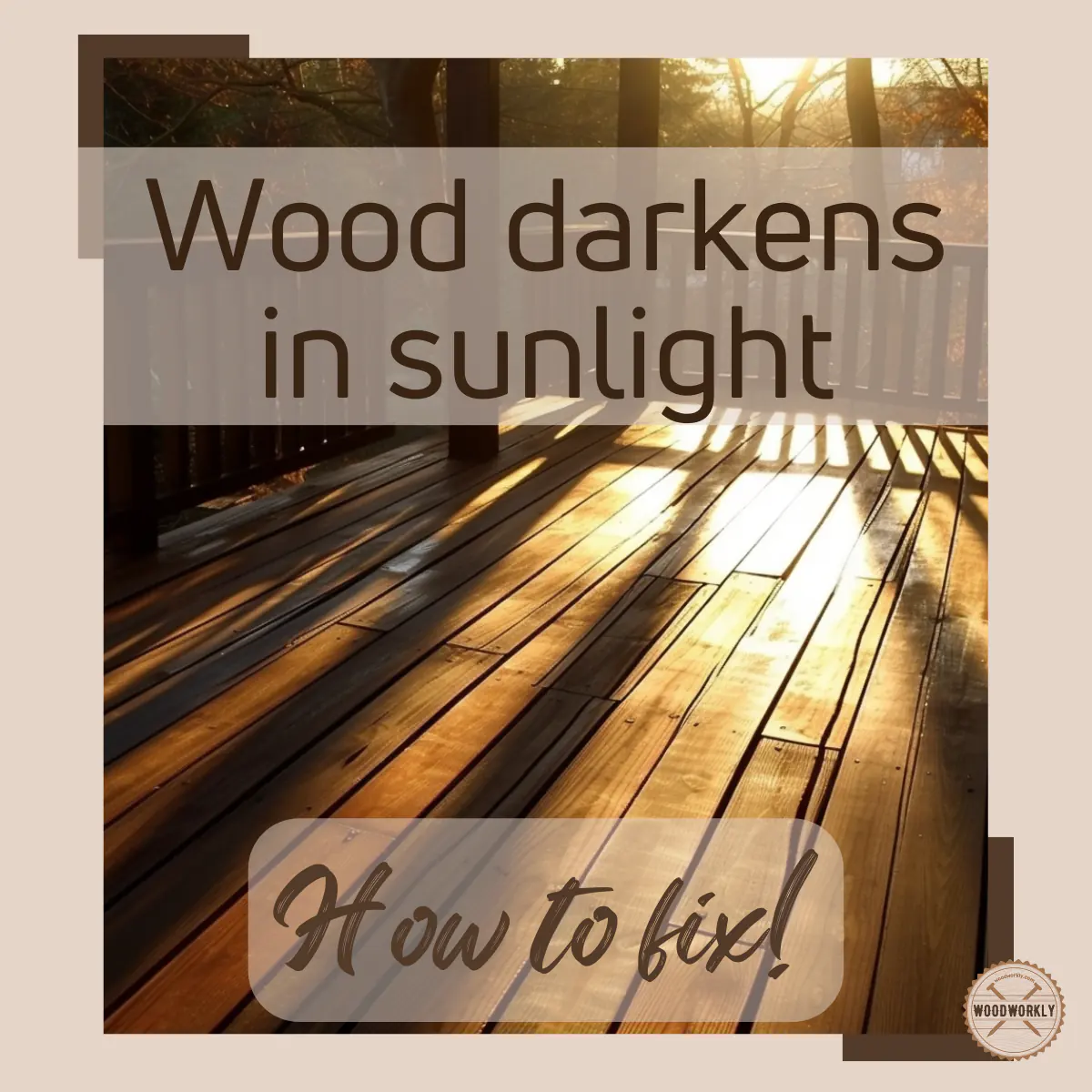Does Sunlight Darken Wood