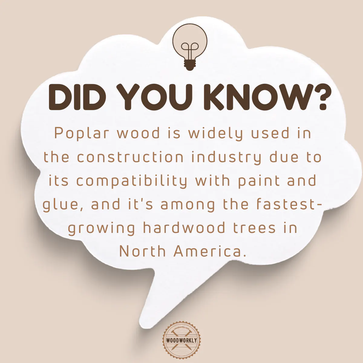 Did you know fact about Poplar wood